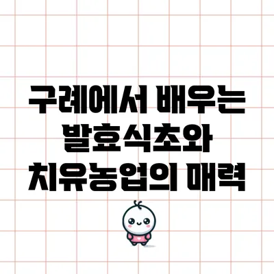 구례에서 배우는 발효식초와 치유농업의 매력