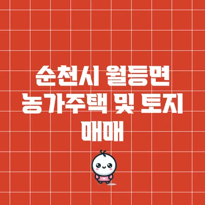 순천시 월등면 농가주택 및 토지 매매