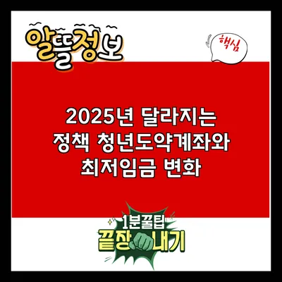 2025년 달라지는 정책: 청년도약계좌와 최저임금 변화