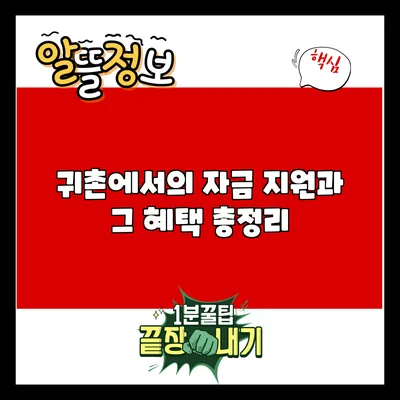 귀촌에서의 자금 지원과 그 혜택 총정리