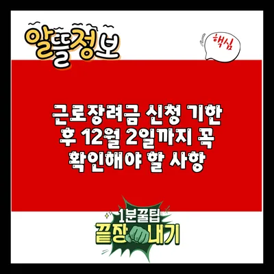 근로장려금 신청 기한 후 12월 2일까지 꼭 확인해야 할 사항
