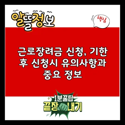 근로장려금 신청, 기한 후 신청시 유의사항과 중요 정보