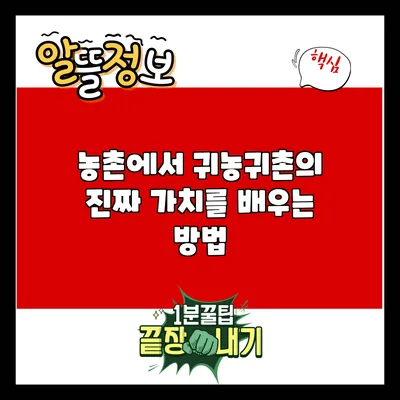 농촌에서 귀농귀촌의 진짜 가치를 배우는 방법