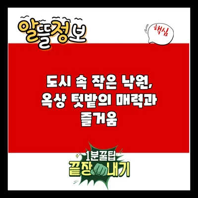도시 속 작은 낙원, 옥상 텃밭의 매력과 즐거움