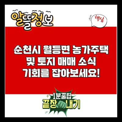 순천시 월등면 농가주택 및 토지 매매 소식: 기회를 잡아보세요!
