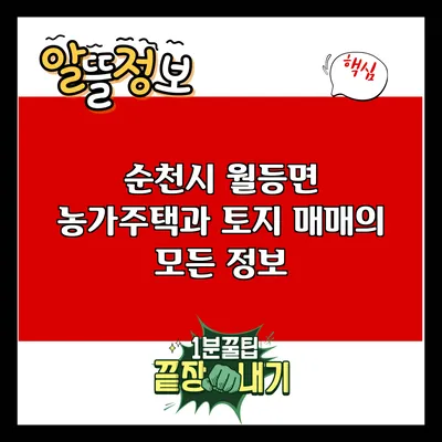 순천시 월등면 농가주택과 토지 매매의 모든 정보