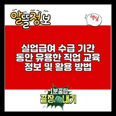 실업급여 수급 기간 동안 유용한 직업 교육 정보 및 활용 방법