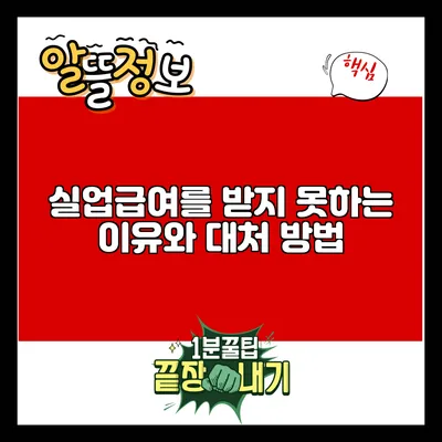 실업급여를 받지 못하는 이유와 대처 방법
