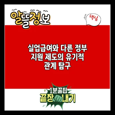 실업급여와 다른 정부 지원 제도의 유기적 관계 탐구