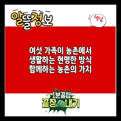 여섯 가족이 농촌에서 생활하는 현명한 방식: 함께하는 농촌의 가치