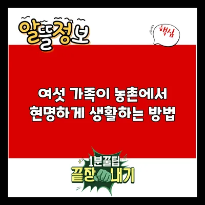 여섯 가족이 농촌에서 현명하게 생활하는 방법