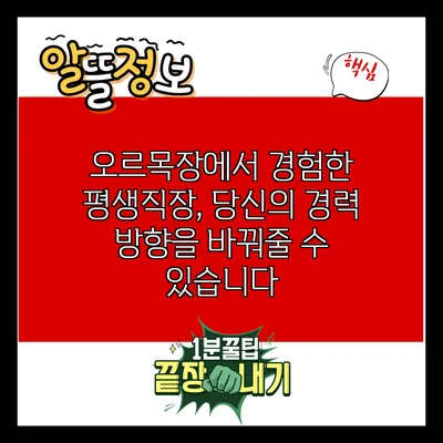 오르목장에서 경험한 평생직장, 당신의 경력 방향을 바꿔줄 수 있습니다