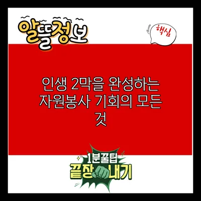 인생 2막을 완성하는 자원봉사 기회의 모든 것