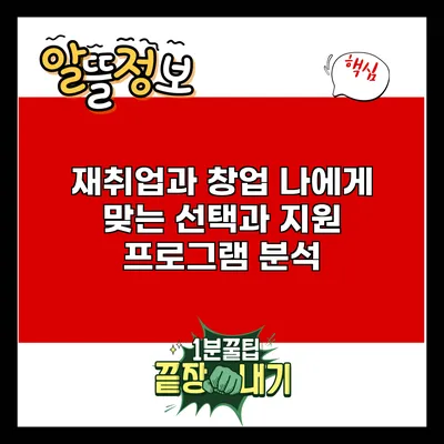 재취업과 창업: 나에게 맞는 선택과 지원 프로그램 분석