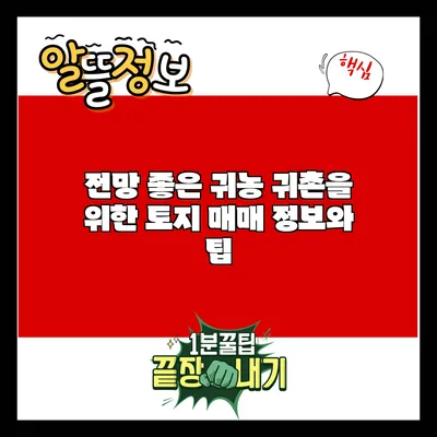 전망 좋은 귀농 귀촌을 위한 토지 매매 정보와 팁