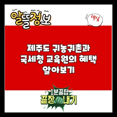 제주도 귀농귀촌과 국세청 교육원의 혜택 알아보기