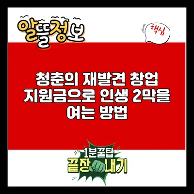 청춘의 재발견: 창업 지원금으로 인생 2막을 여는 방법
