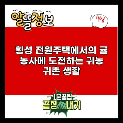 횡성 전원주택에서의 귤 농사에 도전하는 귀농 귀촌 생활