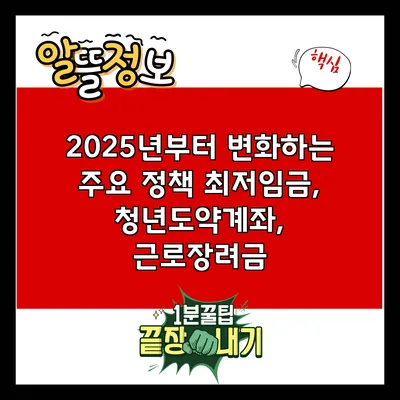 2025년부터 변화하는 주요 정책: 최저임금, 청년도약계좌, 근로장려금