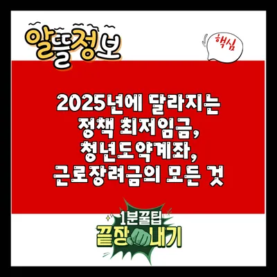 2025년에 달라지는 정책: 최저임금, 청년도약계좌, 근로장려금의 모든 것