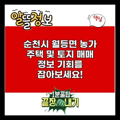 순천시 월등면 농가 주택 및 토지 매매 정보: 기회를 잡아보세요!