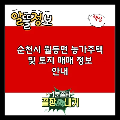 순천시 월등면 농가주택 및 토지 매매 정보 안내