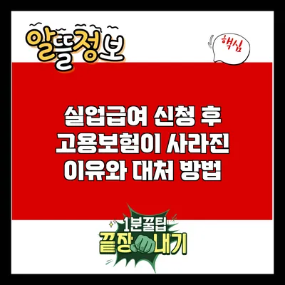 실업급여 신청 후 고용보험이 사라진 이유와 대처 방법